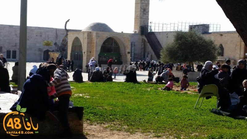 quds a7bab aqsa (8).JPG